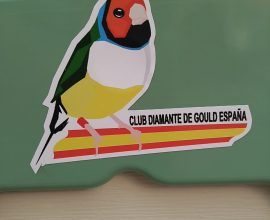 Pegatinas Club Diamante de Gould España
